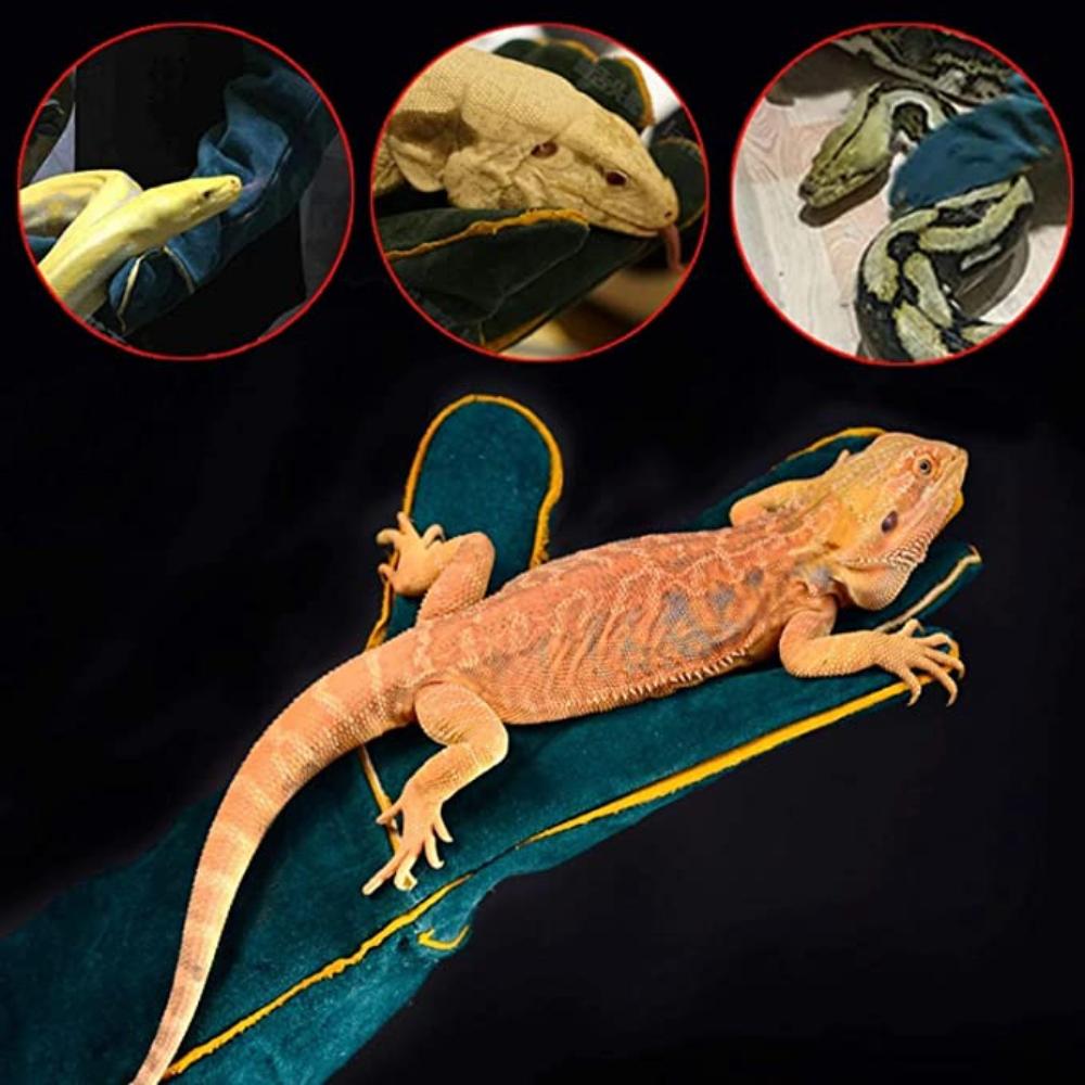 buy designed for veterinarians online